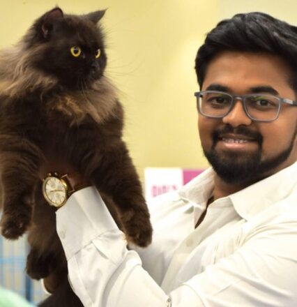 631139d6 9fab 4ffe 8ea0 aff02cb7411d