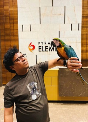 blue gold macow parrot