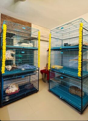 0fb7ac9d cd38 480d a7c9 c4050057a14b