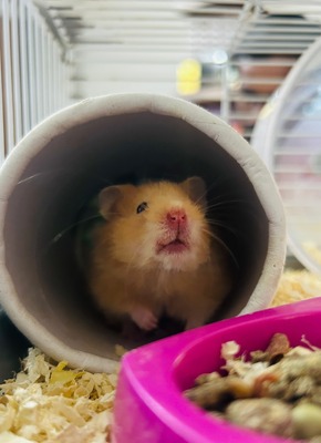 496647662 18287502655247201 6232807234577040549 n