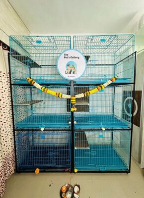 614b8cb6 e57a 40c0 9425 53faac02a2bb