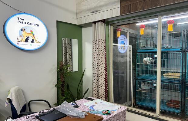 c408553a 582b 462f 9ebf 1a5a6f4a2c9b